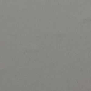 Meet your Posher, Chameleon